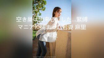 あなた、許して…。 揉みしだかれた美乳 松下紗栄子