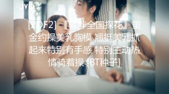 [2DF2] 『骚胖全国探花』重金约操美乳胸模 翘挺美乳抓起来特别有手感 特别主动热情骑着操 [BT种子]