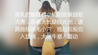 巨乳肥臀骚逼