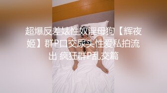 极品夫妻【大屁股小蛮腰】推特91福利合集疯狂淫乱群P大胆男厕露出，青岛全程绿帽视角