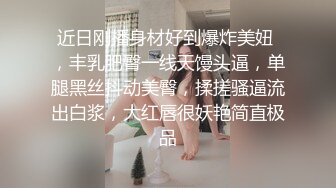 麻豆传媒MD-0208快感刺激的极致调教-夏晴子 苏清歌