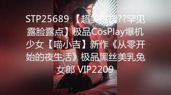 BBW超贵cosplay各种二次元丰满少女欧翼翼全部合集 【903V】 (11)