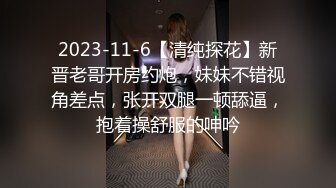 STP27792 外表清纯女神真会玩！包臀短裙高跟鞋！口塞跳蛋双洞齐插，按住头猛吃屌，骑乘位拉手后入