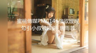 PMX046 空姐AV女優面試 白允兒