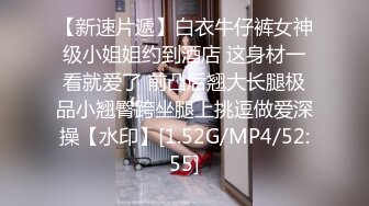 小母狗的发情2