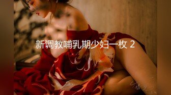 大像传媒之長腿癡女代表情慾作-米歐