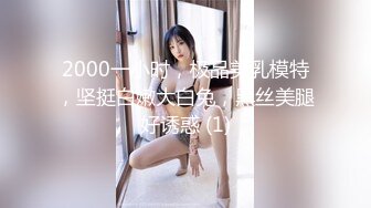 2000一小时，极品美乳模特，坚挺白嫩大白兔，黑丝美腿好诱惑 (1)