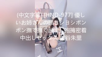 帝都麒麟公馆的CNPM_21