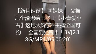 【极品爆炸资源顶级唯美女神】用神仙的画笔重塑女神的真容 蜜桃臀+豪乳+美穴+啪啪+粉穴+性感身姿 高清720P版