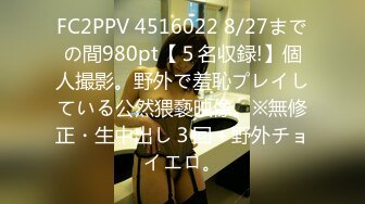 FC2PPV 4516022 8/27までの間980pt【５名収録!】個人撮影。野外で羞恥プレイしている公然猥褻映像。※無修正・生中出し３回＋野外チョイエロ。