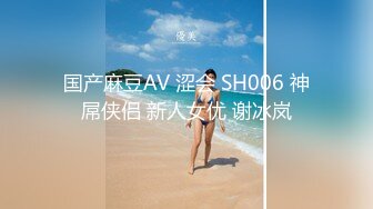 国产麻豆AV 涩会 SH006 神屌侠侣 新人女优 谢冰岚