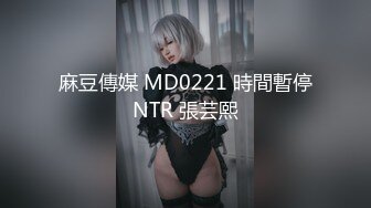 麻豆傳媒 MD0221 時間暫停NTR 張芸熙