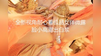 麻豆導演系列-色淫師硬上巨乳雷姆coser官网