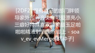 马尾辫子白嫩美少妇和单男口交啪啪做爱 无套打桩后入黑丝大屁股女上位销魂操对白刺激