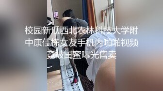 骚母狗后入